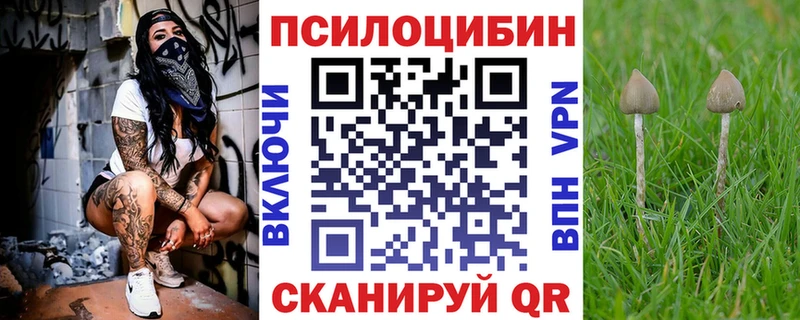 Галлюциногенные грибы Psilocybine cubensis  как найти закладки  кракен как войти  Шелехов 